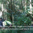 Leamington cemetery track 3.3.22